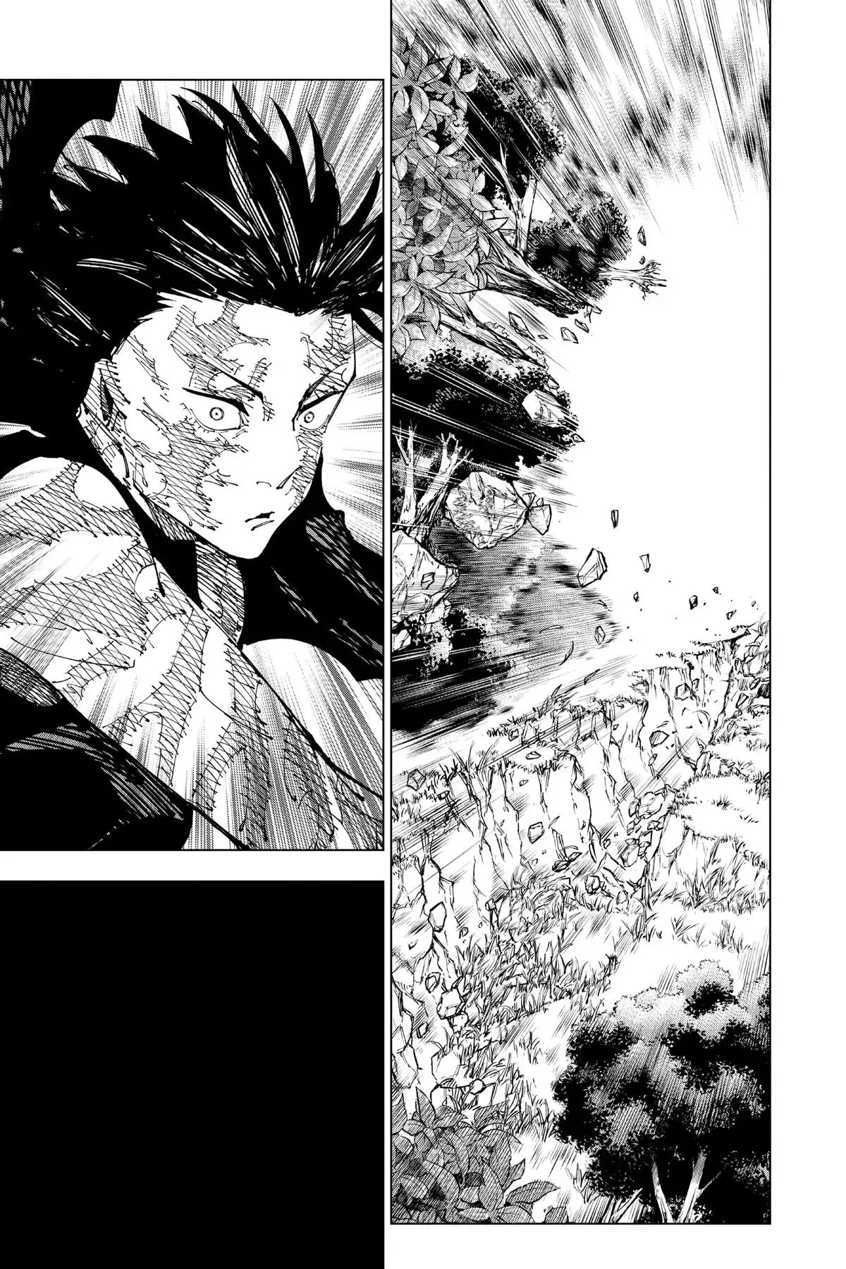Read Jujutsu Kaisen Chapter 193 Page 15