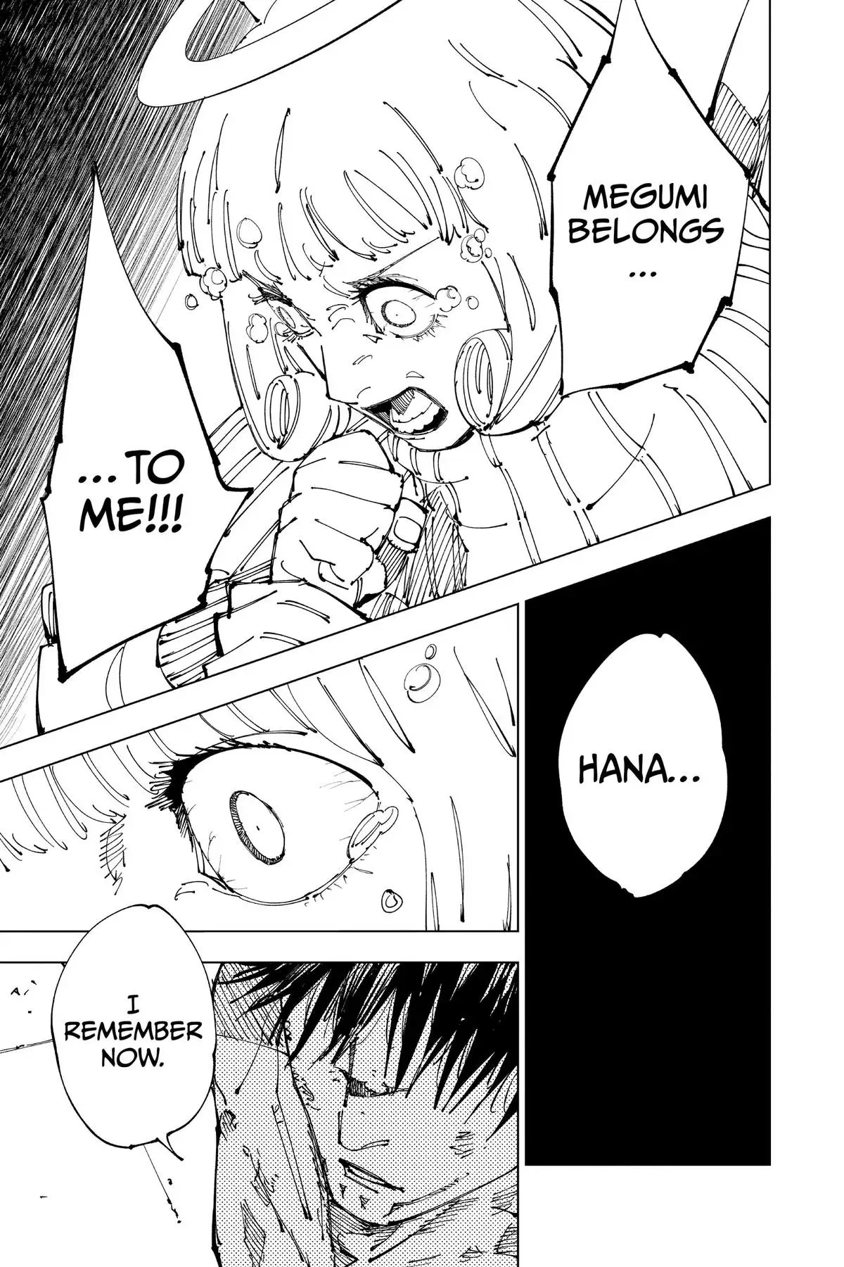 Read Jujutsu Kaisen Chapter 213 Page 16