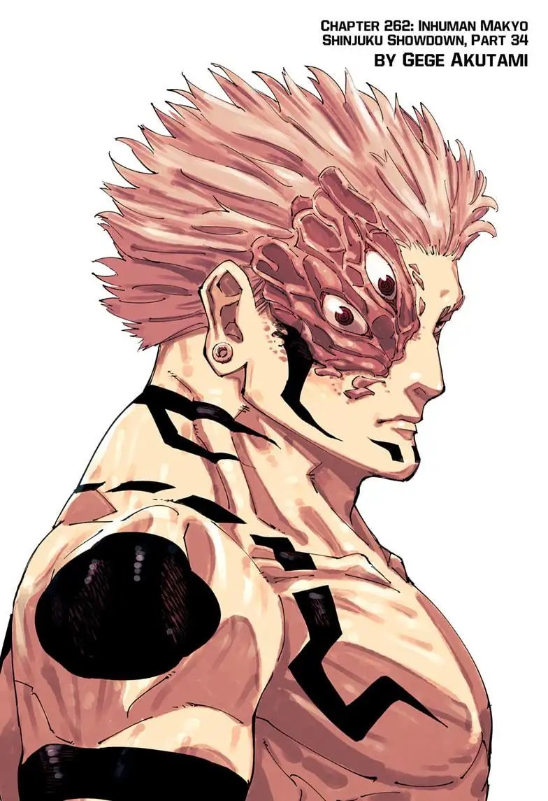 Read Jujutsu Kaisen Chapter 262 Page 1